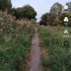 Screenshot_20250911_073624_video_like_EditorMainActivity