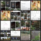 Screenshot_20250911_073540_video_like_EORecordActivity