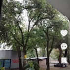 Screenshot_20250911_073026_video_like_VideoDetailActivityV2