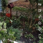 Screenshot_20250911_070244_com_zhiliaoapp_musically_SAAActivity