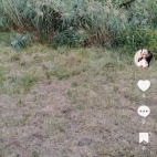 Screenshot_20250911_064823_com_zhiliaoapp_musically_DetailActivity