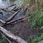 29b68e4734b1fb815d0c1aaea6eaf32d_0