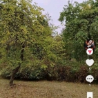 Screenshot_20250911_063219_com_zhiliaoapp_musically_MainActivity