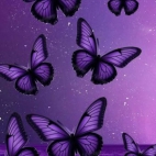 546617062_1215225787035104_7572257618436838344_n