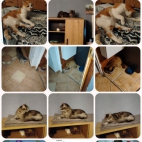 Screenshot_20250912_074426_com_google_android_apps_nbu_files_FileBrowserRegularAct