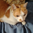 063e8d7648bc2cf92af76604d8838140_0