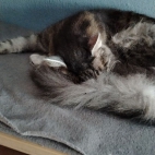 572a2ce21786b1d66b4ca46d7554cc7f_0