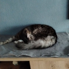 94ffa1aeebeb004b093c883760eac19e_0