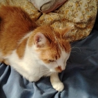 9d8b891dbe90d305d7848c8f35ec9168_0