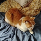 c0ca0fb684e90f880e459ff38aeace2c_0