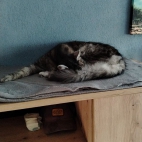 45d611460f0c9fe73844fd2cb01968aa_0