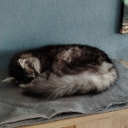 d3007582736ddc0e71d87bff377416d2_0