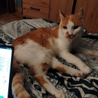 cc11efbfd5169fd88e2f55232bd36cbb_0