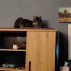 ca8fa9f258b4851176ca69c6c73fb540_0