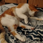 a88c73c9c6f0351dd5cda7cacf08fa1a_0