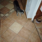 c90ca4f045edf86a714aece5ef779bae_0