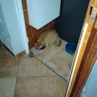 e2e0624f686f32b42202d9a94db6b2b6_0