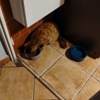 89f5b78ae21549acfa52c1482acab03d_0