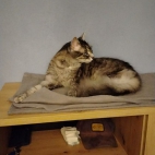 7fa3cada42f1ca09eb1947a75d853c92_0