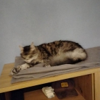 5c3727bcbb8646c9dad2294371c8307d_0