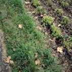 1e0162011103e193c3353b5335aeddf0_0