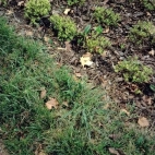 b7c4b5cfbdcf3e1c043b6f6b7a34bb86_0