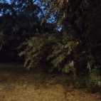 bcbcf1de1aba6eefe39b19a968034c94_0