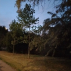 8d7bd1993a5c2de824aa56dff30ac32c_0