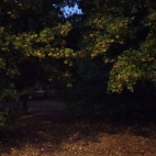 9de60ab18f85c1e21841ed563645301c_0