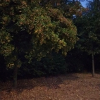 113149e510e4d383829d06bf1511bbcd_0