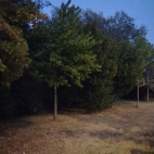 1adf3af27273621bb8e824935faea13b_0