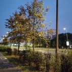 5e11dcb89eabdc7a0aaa04fa694555cd_0