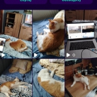 Screenshot_20250911_153405_io_cheelee_app_MainActivity