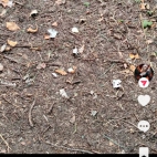 Screenshot_20250911_153054_com_zhiliaoapp_musically_MainActivity