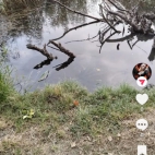 Screenshot_20250912_145143_com_zhiliaoapp_musically_MainActivity