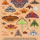 546647701_18385009777135706_7281148291739605523_n