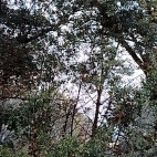 489c2a6054117e9b6e1fdebd23b129b7_0