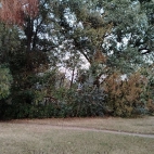 8531bd5c8a133670ab4ede380226e5de_0