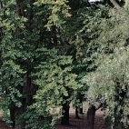 d40b6d96f46a8aa748e8fb70e1efb2f3_0