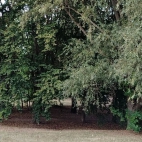 f3c345ec7212f16b1c981975fb61f0e4_0