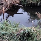 ddb2e1ec3957f439992ad7a5a99566fd_0