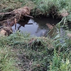 fd0f2b2e0132332893b02c835bebc533_0