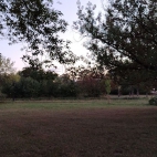 bb4955f566abadee5bae5d32b856b693_0