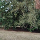 6f2a8404d6219f2cc261316e4904ddbe_0