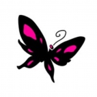 411515282_203101786190588_1257846050785131032_n