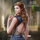 486962242_3810296722613801_6954582591026464790_n