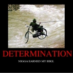 determinacja