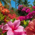 546622767_122135472818880768_7798515851749865465_n