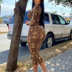 547238996_806782631846623_4778453741998366381_n