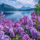 548206935_122135472908880768_4368109746636503255_n